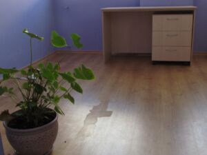 Офис бюро Компакт