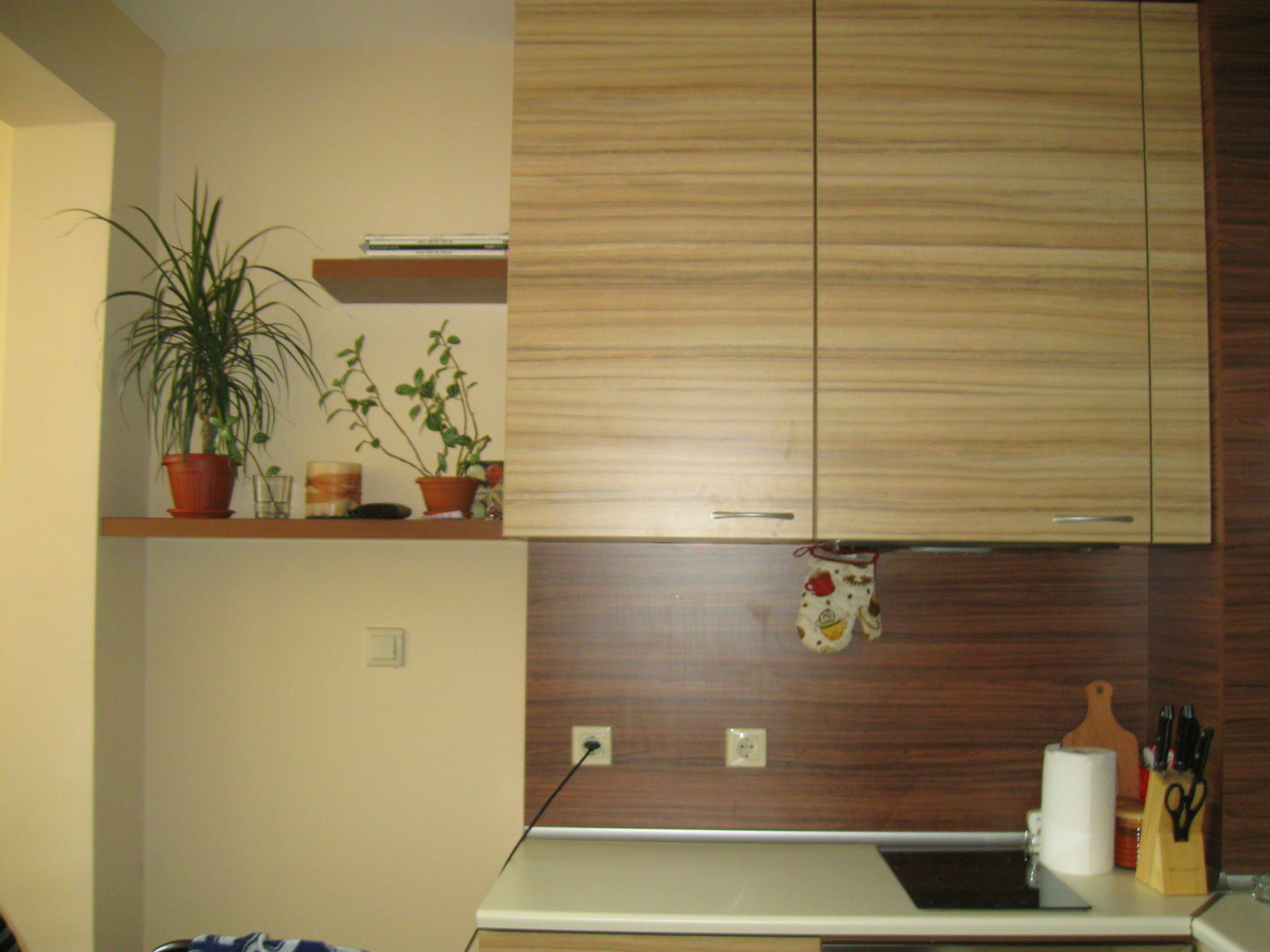 Кухня по поръчка Бамбукова гора - Image 4